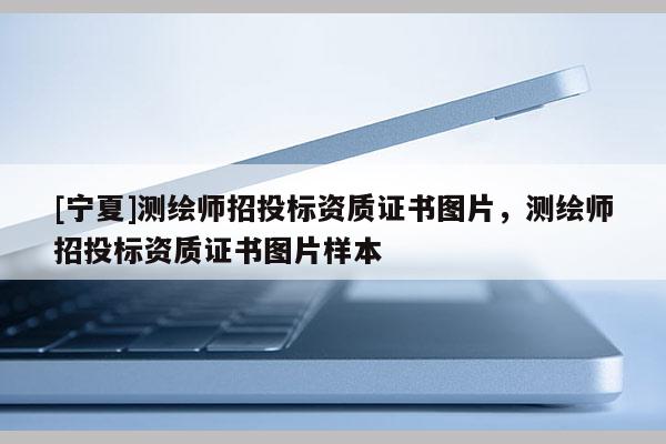 [寧夏]測繪師招投標(biāo)資質(zhì)證書圖片，測繪師招投標(biāo)資質(zhì)證書圖片樣本