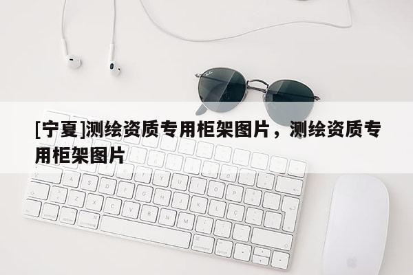 [寧夏]測繪資質(zhì)專用柜架圖片，測繪資質(zhì)專用柜架圖片